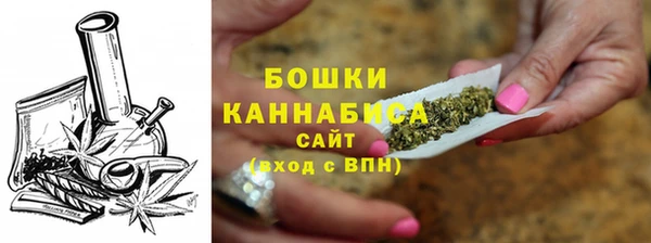 шишки Сатка