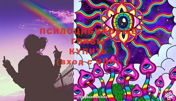 ПСИЛОЦИБИНОВЫЕ ГРИБЫ Беломорск